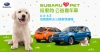 「Subaru LOVES PETS 挺動物 公益嘉年華」以行動關懷毛小孩