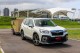 冒險與安全兼顧 家庭SUV首選  Subaru Forester GT Edition