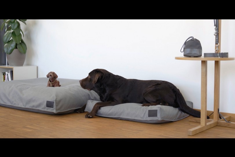 Mercedes-Benz為愛犬人士準備了一系列「狗」身精品(內有影片)