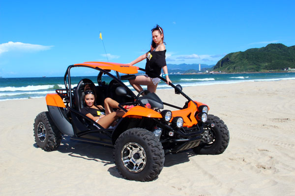 buggy pgo 600i