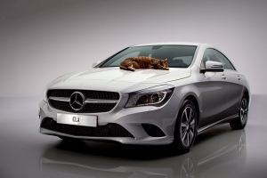 連貓都抓不住，Mercedes-Benz CLA廣告彰顯空氣力學設計