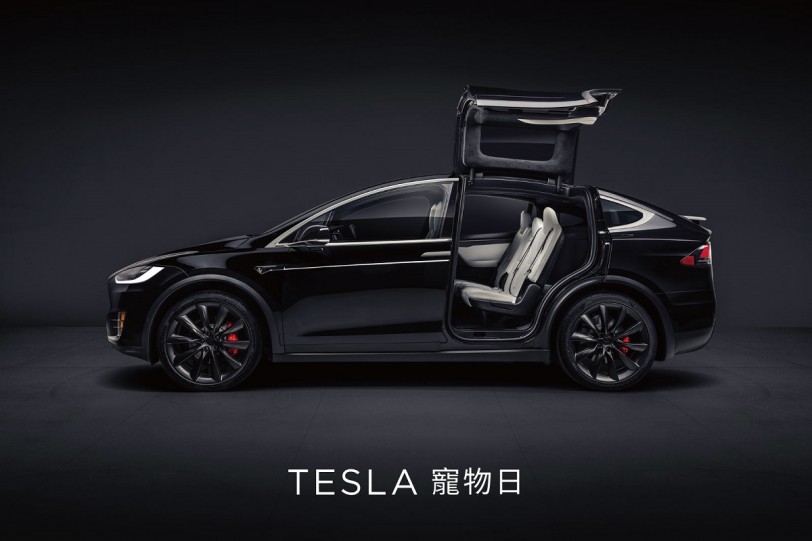 Tesla寵物日！全球獨家寵物模式功能在台亮相