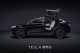 Tesla寵物日！全球獨家寵物模式功能在台亮相
