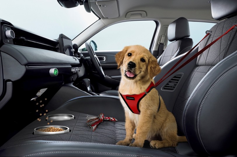 Honda推出狗狗副駕駛專用的Dog Co-Pilot前排座椅