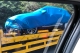國道捕獲！Hyundai 明年重砲車型 Santa Fe 第四代車型「猶抱琵琶半遮面」現身