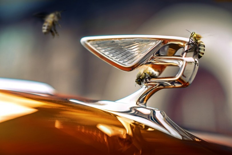 為碳中和提出貢獻 Bentley推出「Flying Bees」計畫