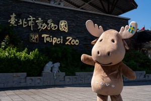 VOLVO 攜臺北市立動物園二度投身動物保育 擴大守護國王企鵝、黑腳企鵝 打造全新企鵝館永續親子互動體驗