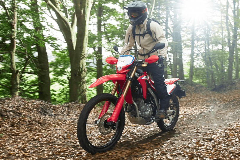 輕鬆克服台灣越野級路面品質 Honda CRF300L、CRF300 RALLY導入確定