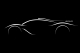 F1賽車道路化？Mercedes-AMG確認2018年達成！
