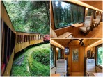 LEXUS車主活動推出全新主題「LEXUS JOURNEY Into the Forest 森野之境」
