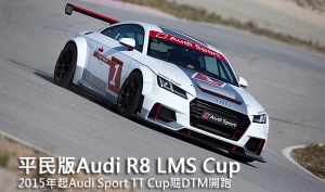 平民版Audi R8 LMS Cup，2015年起Audi Sport TT Cup隨DTM開跑