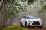 承擔品牌電氣化先驅重任，2022 Lexus NX450h+ 豪華版