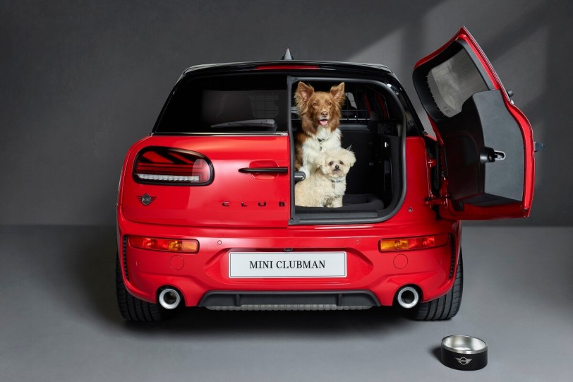 MINI與Dogs Trust合作！成為第一家對狗狗友好的汽車品牌