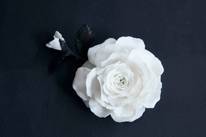 有一種玫瑰品種來自Rolls-Royce,叫做Phantom Rose