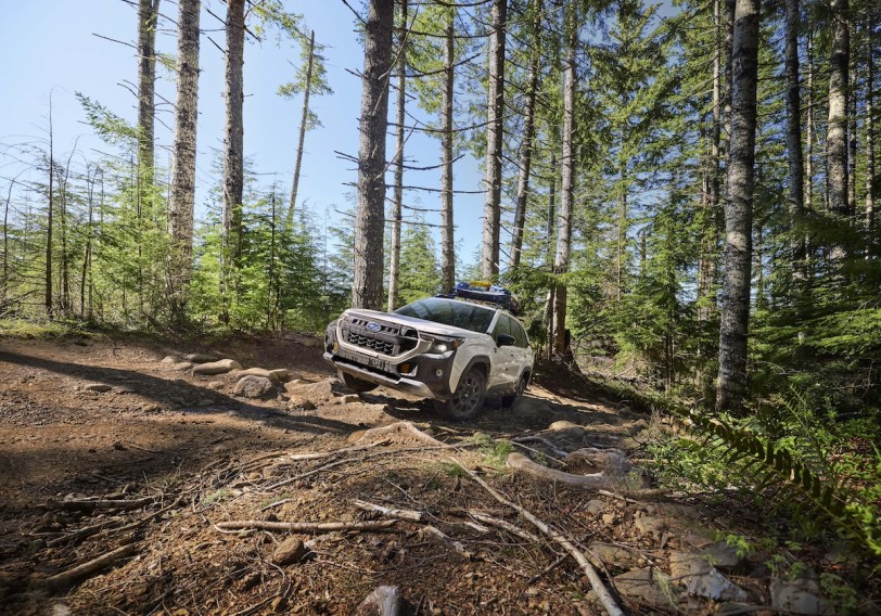 更狂野的選擇，Subaru Forester Wilderness 第六世代車型芝加哥車展亮相！