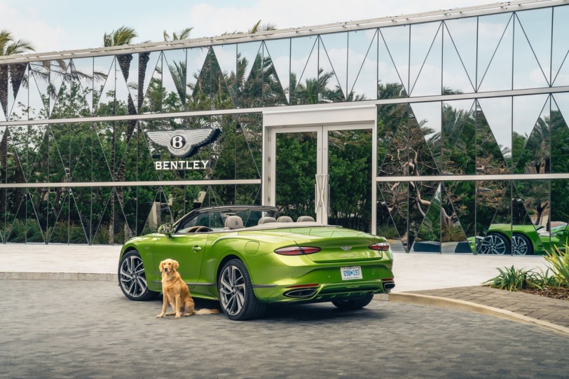 Bentley Residences無與倫比的設施揭幕!即使是寵物也能享受五星級住宿