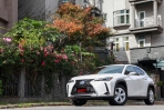 激發自我創造力,2019 Lexus UX250h 豪華版試駕