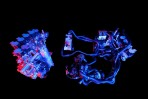 Volkswagen集團宣告深化打造完整的純電驅動系統,追加逆變器及熱管理系統的開發