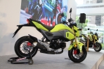 Honda Taiwan正式進軍白牌輕檔車!MSX125 ABS售價12.5萬還享6S服務