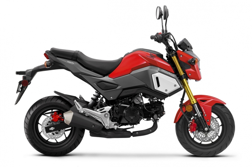 19年式Honda MSX125新色登場，來店賞車三週年好禮送給你