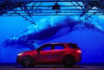 深潛水下30米 解鎖台灣海域之美 LAND ROVER發表全新DISCOVERY TABLE探海計劃