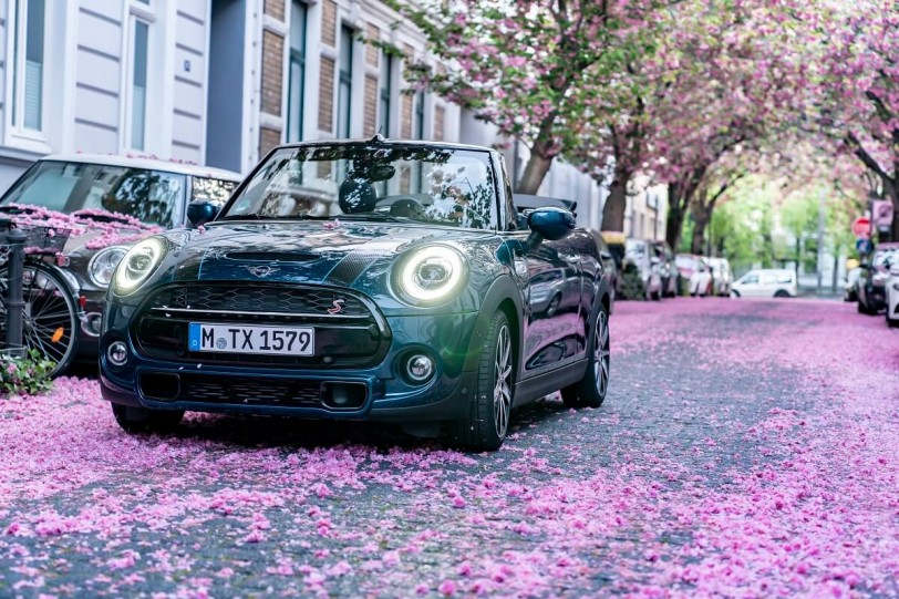 櫻花與MINI Convertible Sidewalk告訴大家春天來了！