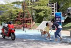 Ionex 光陽電動車 「媽的多重禮遇」母親節鉅獻